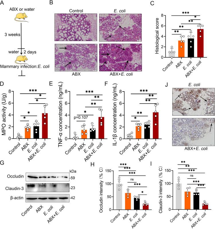 https://cdn.ncbi.nlm.nih.gov/pmc/blobs/4c59/8336809/843d6392a0f5/ppat.1009774.g004.jpg