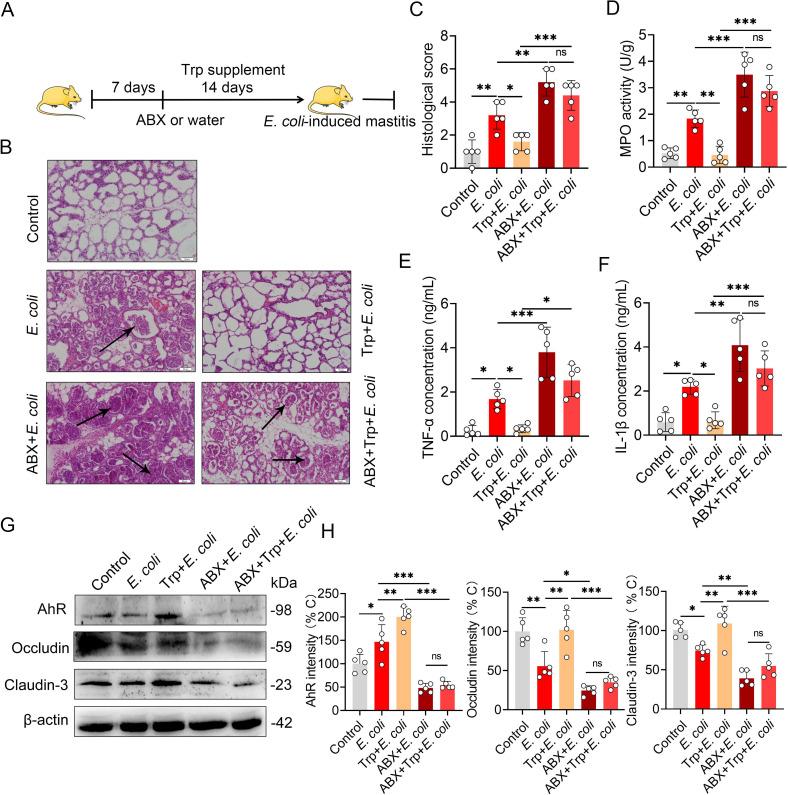 https://cdn.ncbi.nlm.nih.gov/pmc/blobs/4c59/8336809/b5fc056a558c/ppat.1009774.g005.jpg