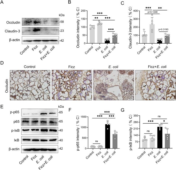 https://cdn.ncbi.nlm.nih.gov/pmc/blobs/4c59/8336809/ba7d6a2c8070/ppat.1009774.g002.jpg