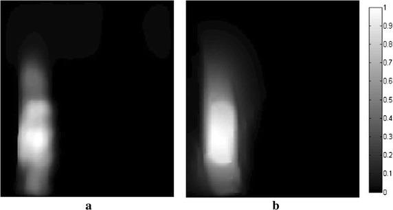 https://cdn.ncbi.nlm.nih.gov/pmc/blobs/4c5e/5450113/945b39125524/12938_2017_366_Fig21_HTML.jpg