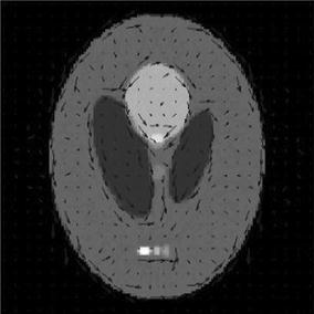 https://cdn.ncbi.nlm.nih.gov/pmc/blobs/4c5e/5450113/e7bbef3f3d68/12938_2017_366_Fig9_HTML.jpg
