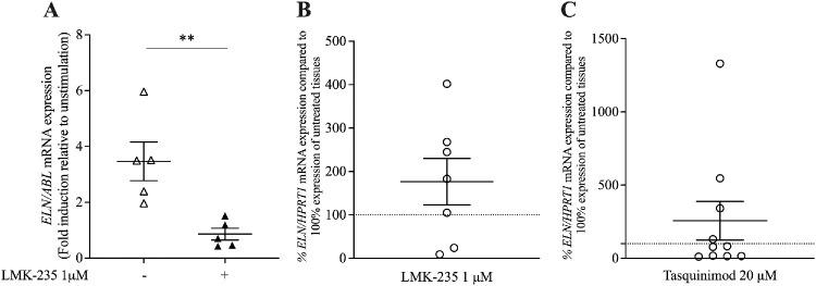 https://cdn.ncbi.nlm.nih.gov/pmc/blobs/4c5f/12266294/863d27f8d8d8/iovs-66-9-30-f005.jpg