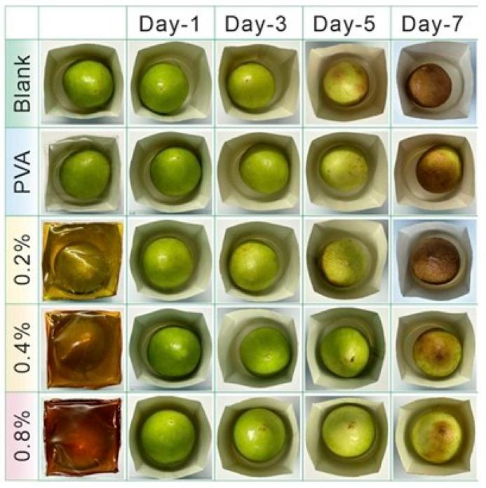 https://cdn.ncbi.nlm.nih.gov/pmc/blobs/4c5f/12389599/2c3bfa9b10f0/plants-14-02523-g012.jpg