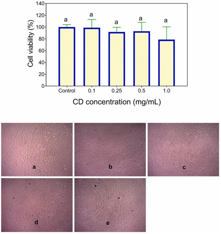 https://cdn.ncbi.nlm.nih.gov/pmc/blobs/4c5f/12389599/43fdb96880b2/plants-14-02523-g011.jpg