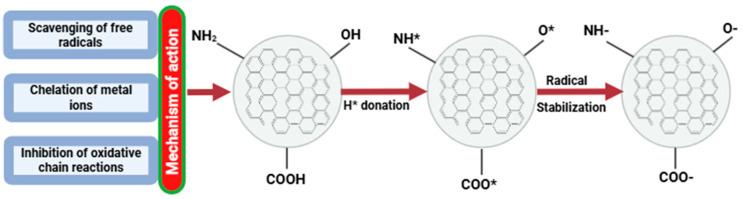 https://cdn.ncbi.nlm.nih.gov/pmc/blobs/4c5f/12389599/fe4d82084755/plants-14-02523-g009.jpg