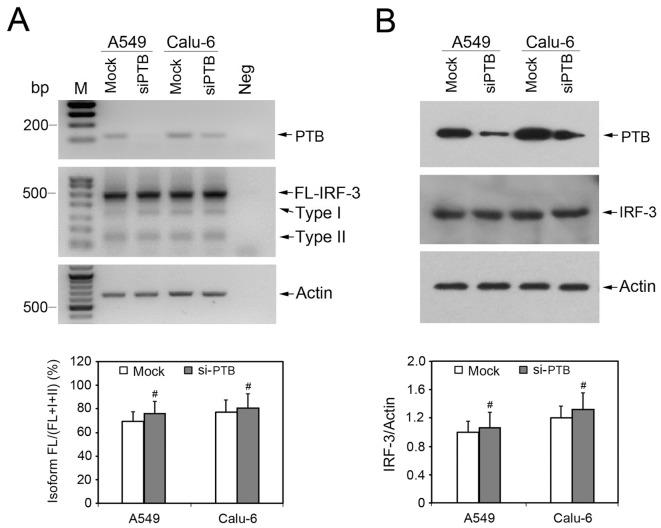 https://cdn.ncbi.nlm.nih.gov/pmc/blobs/4c61/3639176/adad907e3339/pone.0062729.g002.jpg