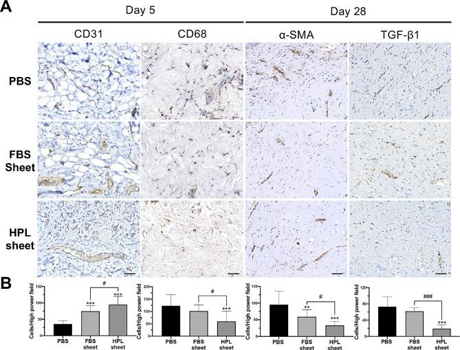 https://cdn.ncbi.nlm.nih.gov/pmc/blobs/4c62/11163789/1f54218a8e53/13287_2024_3762_Fig3_HTML.jpg