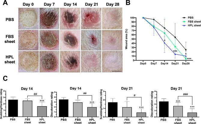 https://cdn.ncbi.nlm.nih.gov/pmc/blobs/4c62/11163789/5707c42d7c4f/13287_2024_3762_Fig1_HTML.jpg