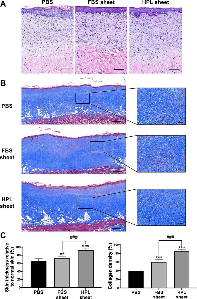 https://cdn.ncbi.nlm.nih.gov/pmc/blobs/4c62/11163789/d728930c7df7/13287_2024_3762_Fig2_HTML.jpg