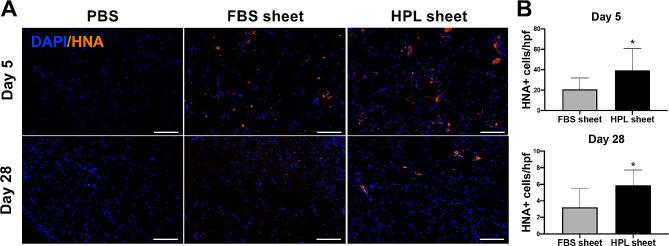 https://cdn.ncbi.nlm.nih.gov/pmc/blobs/4c62/11163789/d8e4861cd9c4/13287_2024_3762_Fig4_HTML.jpg