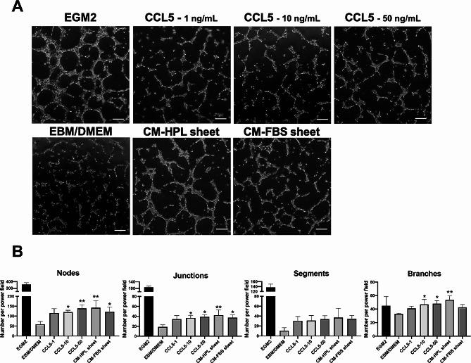 https://cdn.ncbi.nlm.nih.gov/pmc/blobs/4c62/11163789/e5baac6fdb5f/13287_2024_3762_Fig7_HTML.jpg