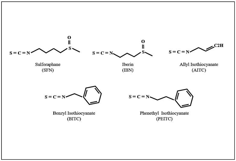 https://cdn.ncbi.nlm.nih.gov/pmc/blobs/4c62/6523696/1ca424c20a27/antioxidants-08-00106-g001.jpg