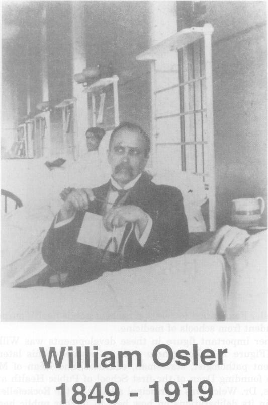 https://cdn.ncbi.nlm.nih.gov/pmc/blobs/4c63/2376581/c0a64cac21a7/tacca00080-0063-a.jpg