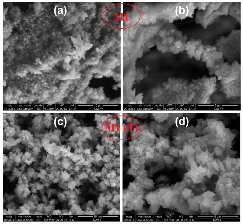 https://cdn.ncbi.nlm.nih.gov/pmc/blobs/4c64/7559004/40c87cf28979/nanomaterials-10-01873-g004.jpg