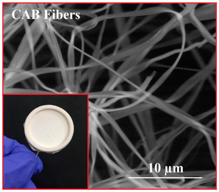https://cdn.ncbi.nlm.nih.gov/pmc/blobs/4c64/7559004/640e9009ecd1/nanomaterials-10-01873-g003.jpg