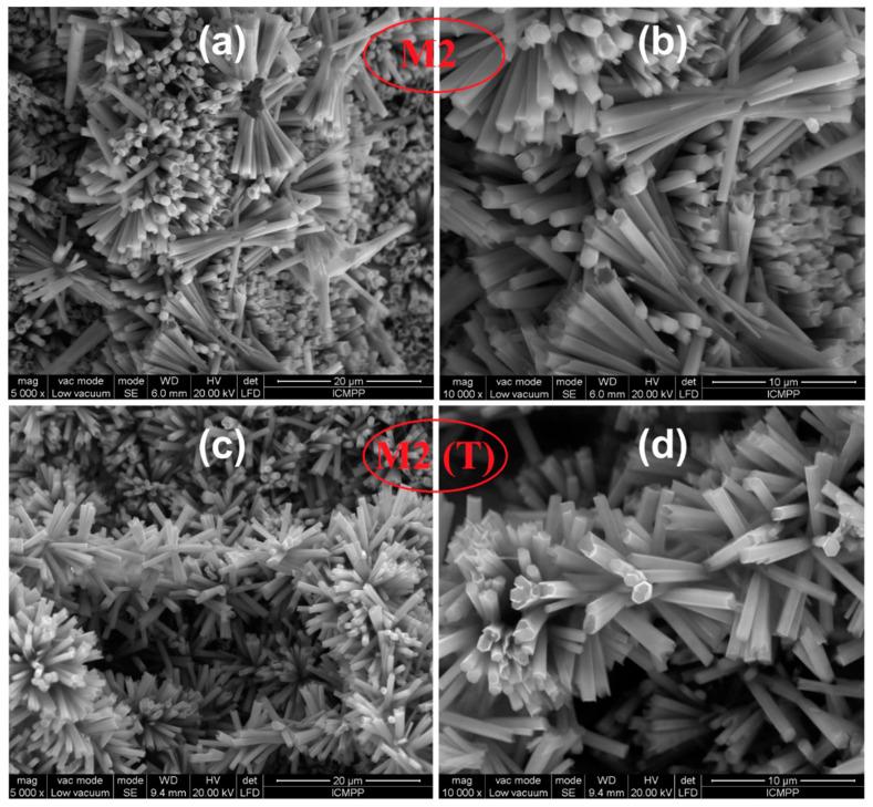 https://cdn.ncbi.nlm.nih.gov/pmc/blobs/4c64/7559004/d6bce6f3fc13/nanomaterials-10-01873-g005.jpg