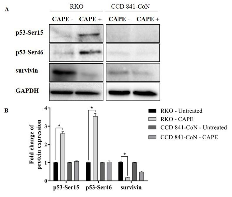 https://cdn.ncbi.nlm.nih.gov/pmc/blobs/4c64/7585156/8e86e0461d33/turkjbio-44-264-fig007.jpg