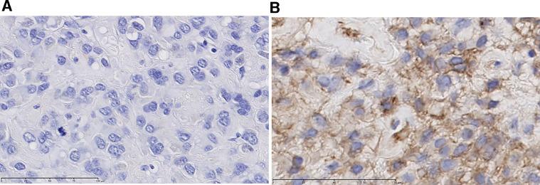 https://cdn.ncbi.nlm.nih.gov/pmc/blobs/4c64/8237296/1e3f47e7b020/gr2.jpg