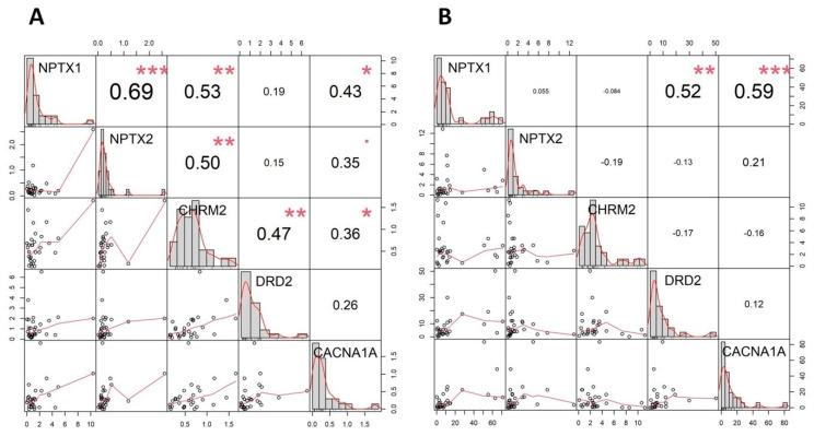 https://cdn.ncbi.nlm.nih.gov/pmc/blobs/4c64/8394462/2c201487aa23/genes-12-01179-g004.jpg