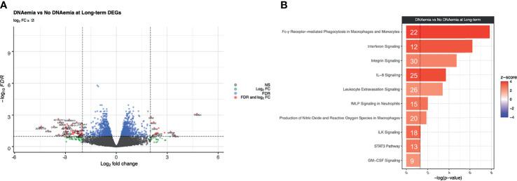 https://cdn.ncbi.nlm.nih.gov/pmc/blobs/4c64/8634678/d230b26e3afd/fimmu-12-750659-g005.jpg