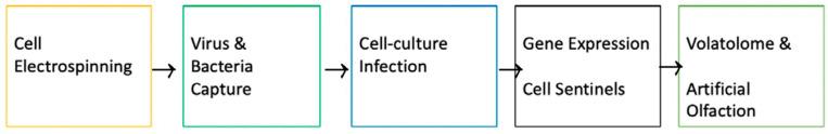 https://cdn.ncbi.nlm.nih.gov/pmc/blobs/4c65/10144235/61e2322b9e7e/sensors-23-03886-g001.jpg