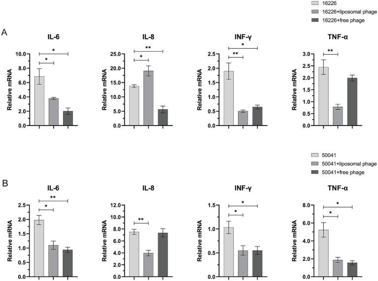 https://cdn.ncbi.nlm.nih.gov/pmc/blobs/4c65/11803447/c3ae2de7de43/fmicb-16-1494647-g008.jpg
