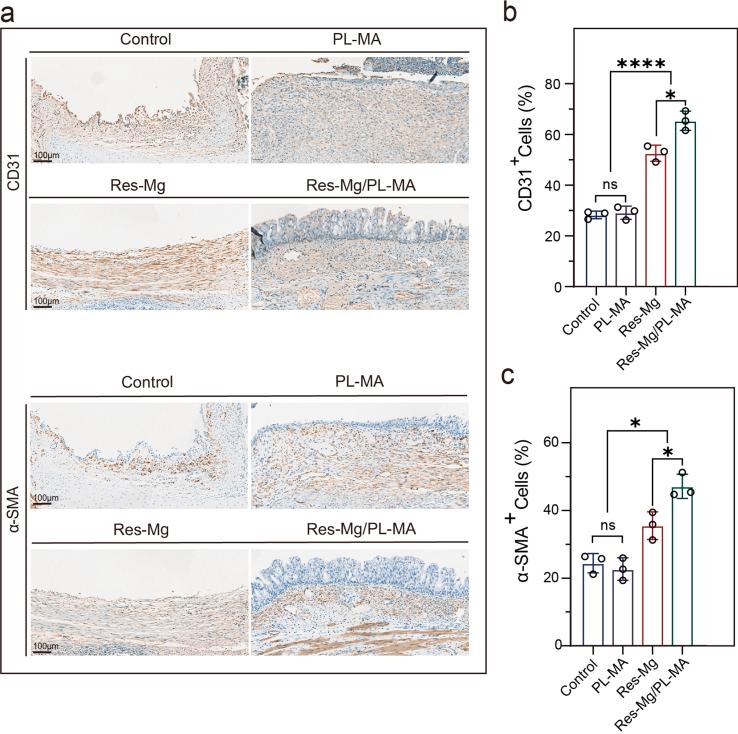https://cdn.ncbi.nlm.nih.gov/pmc/blobs/4c66/10801330/6304b0814051/mmcfigs1.jpg