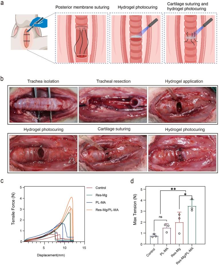 https://cdn.ncbi.nlm.nih.gov/pmc/blobs/4c66/10801330/94e71c9790e0/gr4.jpg