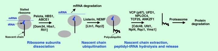 https://cdn.ncbi.nlm.nih.gov/pmc/blobs/4c67/6180196/f3bf74b1a21f/fgene-09-00431-g005.jpg