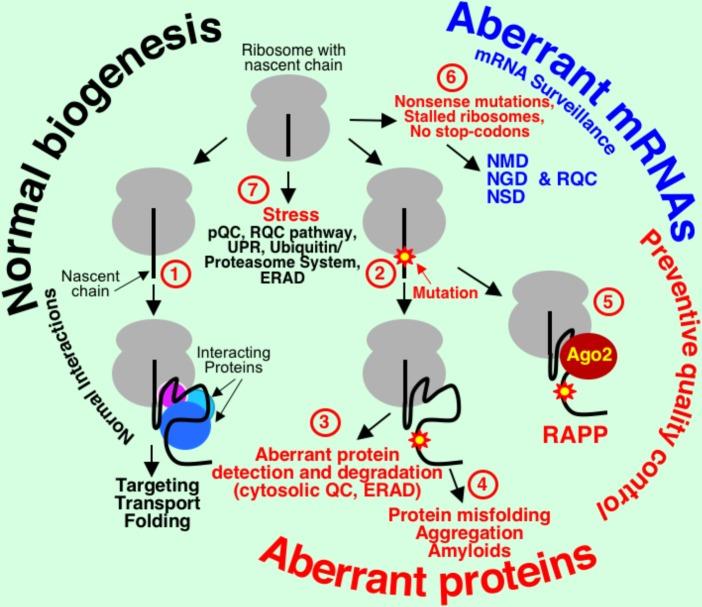 https://cdn.ncbi.nlm.nih.gov/pmc/blobs/4c67/6180196/f8df7bdf5137/fgene-09-00431-g001.jpg