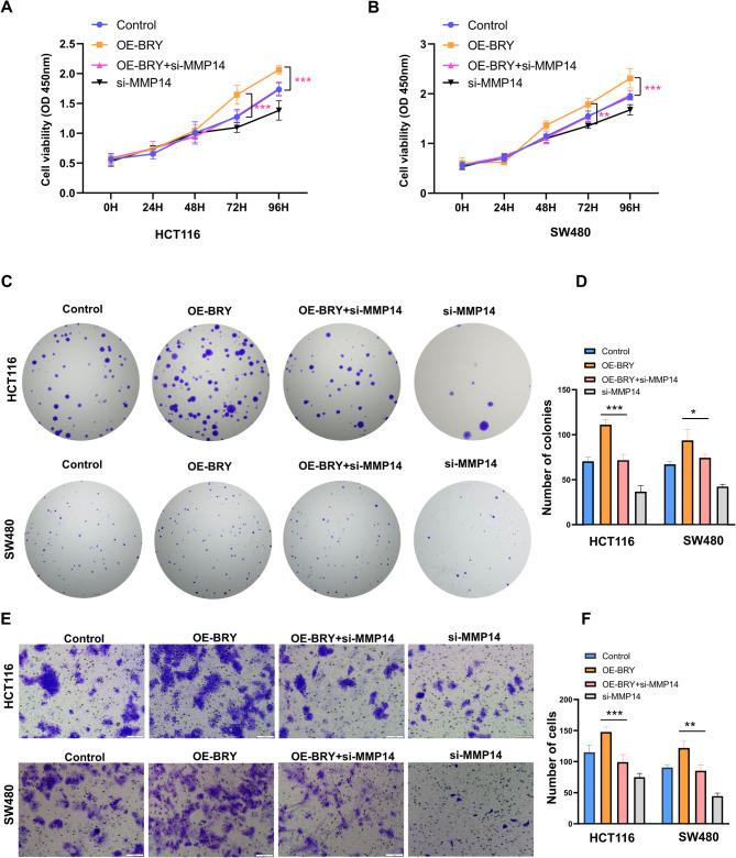 https://cdn.ncbi.nlm.nih.gov/pmc/blobs/4c69/11977941/a4921190cb85/12935_2025_3726_Fig9_HTML.jpg