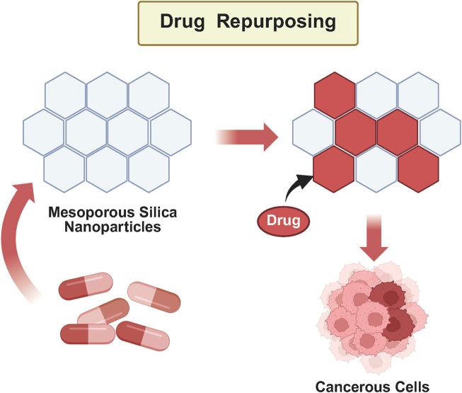 https://cdn.ncbi.nlm.nih.gov/pmc/blobs/4c6a/12104587/2df99460f745/fbioe-13-1595772-g001.jpg