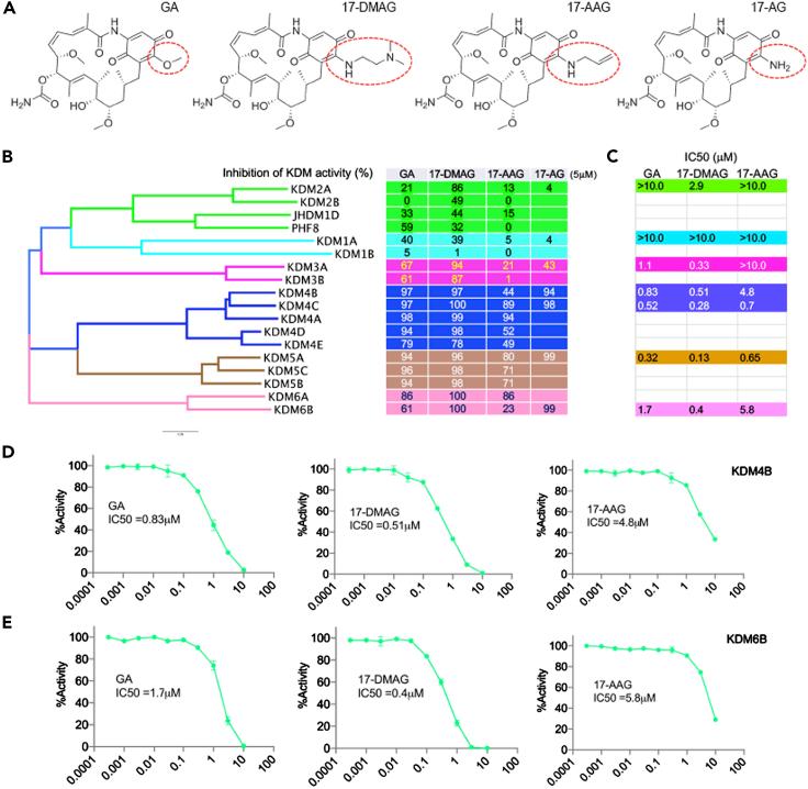 https://cdn.ncbi.nlm.nih.gov/pmc/blobs/4c6b/7811140/21014875ca18/gr3.jpg