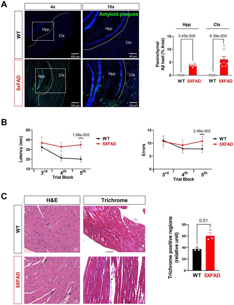 https://cdn.ncbi.nlm.nih.gov/pmc/blobs/4c6d/8902161/02033ed810f6/fcvm-09-850538-g0005.jpg