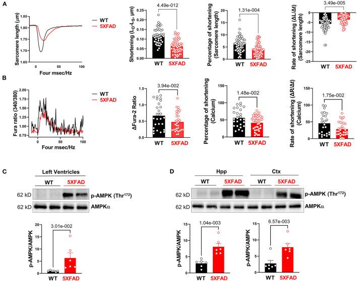 https://cdn.ncbi.nlm.nih.gov/pmc/blobs/4c6d/8902161/8f4347201a6d/fcvm-09-850538-g0002.jpg