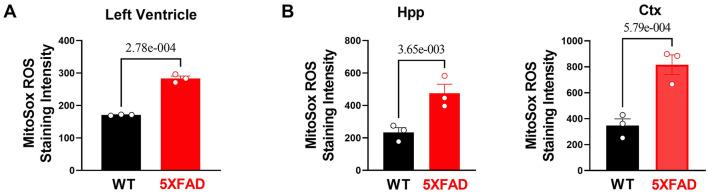 https://cdn.ncbi.nlm.nih.gov/pmc/blobs/4c6d/8902161/e92d2918c50e/fcvm-09-850538-g0004.jpg