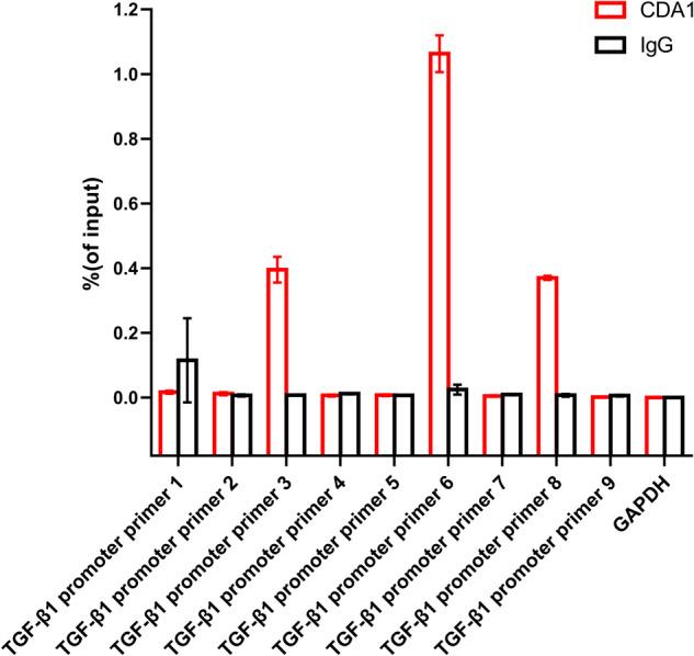 https://cdn.ncbi.nlm.nih.gov/pmc/blobs/4c6e/10313802/b989475a9e1f/41419_2023_5889_Fig4_HTML.jpg