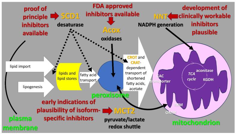 https://cdn.ncbi.nlm.nih.gov/pmc/blobs/4c6e/10531647/c19414ae1e66/ijms-24-14365-g001.jpg