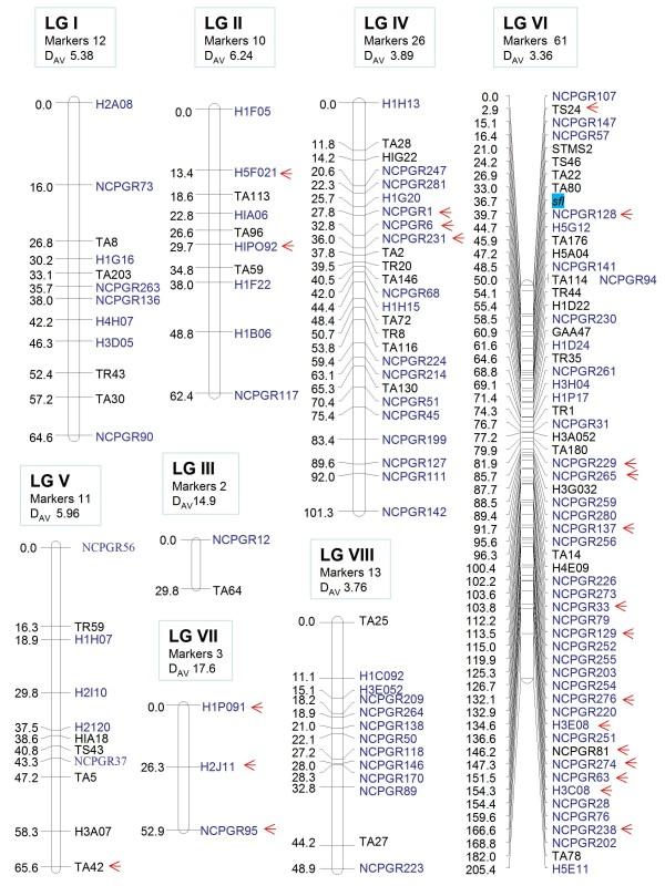 https://cdn.ncbi.nlm.nih.gov/pmc/blobs/4c6e/3050819/dfa64bb037d7/1471-2164-12-117-1.jpg