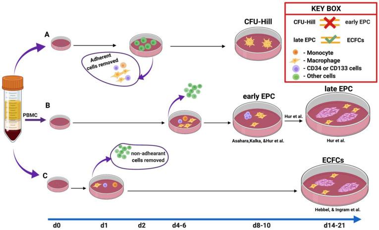 https://cdn.ncbi.nlm.nih.gov/pmc/blobs/4c6e/9318195/a7ac119c75b4/ijms-23-07697-g001.jpg