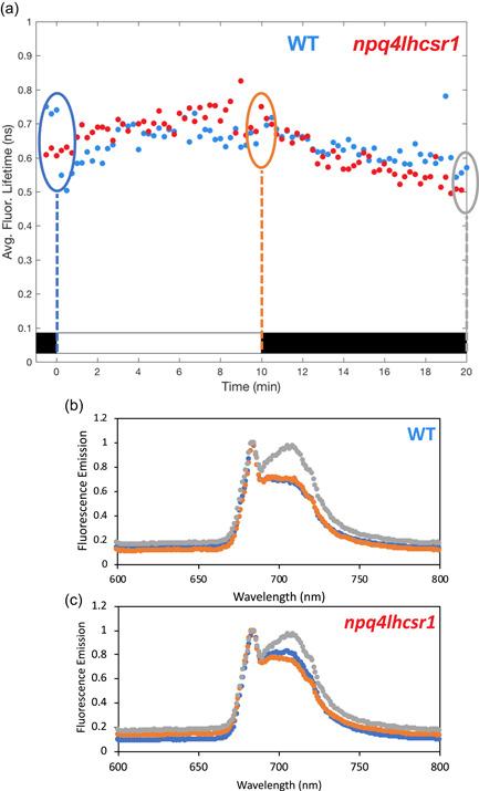 https://cdn.ncbi.nlm.nih.gov/pmc/blobs/4c6e/9540987/93f10783132a/PCE-45-2428-g004.jpg