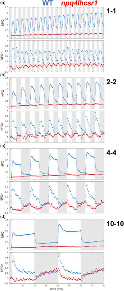 https://cdn.ncbi.nlm.nih.gov/pmc/blobs/4c6e/9540987/945b1da59968/PCE-45-2428-g002.jpg