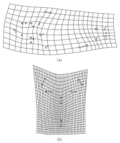 https://cdn.ncbi.nlm.nih.gov/pmc/blobs/4c71/3119416/520104ee062d/IJEB2011-290245.003.jpg