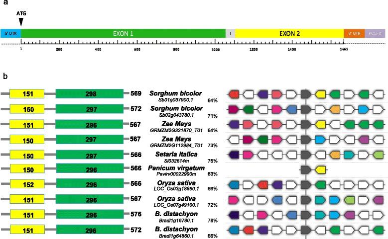 https://cdn.ncbi.nlm.nih.gov/pmc/blobs/4c71/4298115/78d847e2bff8/12870_2014_369_Fig5_HTML.jpg
