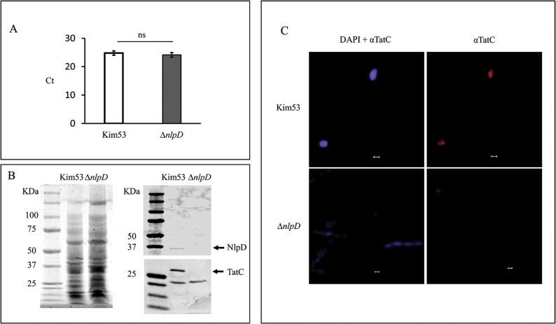 https://cdn.ncbi.nlm.nih.gov/pmc/blobs/4c71/6553720/4bde0cd1515f/pntd.0007449.g003.jpg