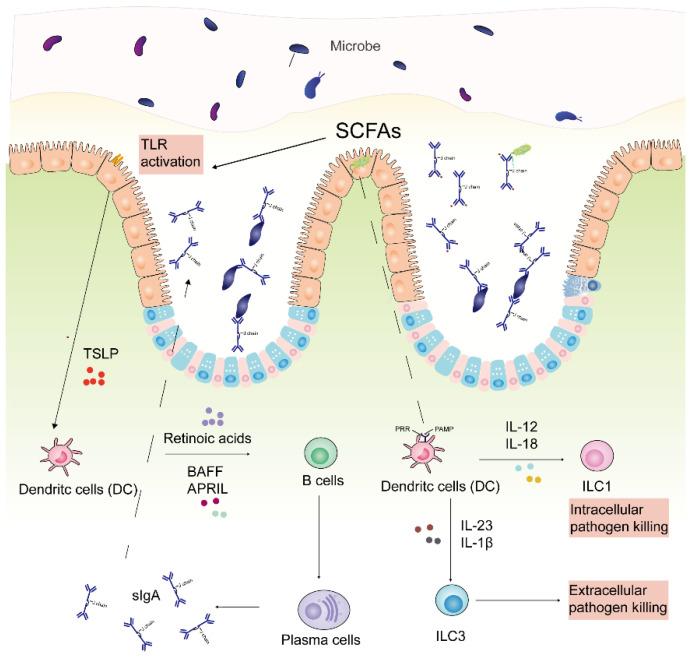 https://cdn.ncbi.nlm.nih.gov/pmc/blobs/4c72/8659174/2af28e68712b/molecules-26-07136-g007.jpg