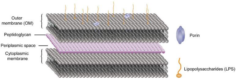https://cdn.ncbi.nlm.nih.gov/pmc/blobs/4c72/8659174/2bfab8740766/molecules-26-07136-g004.jpg