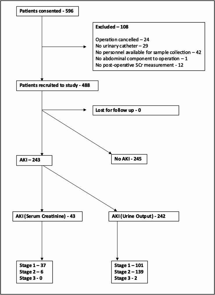 https://cdn.ncbi.nlm.nih.gov/pmc/blobs/4c74/12210991/9a6dc0f7e02c/13054_2025_5510_Fig1_HTML.jpg