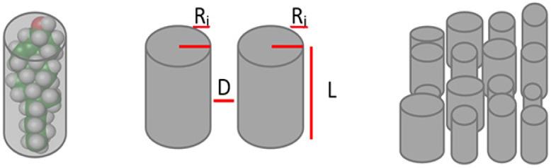 https://cdn.ncbi.nlm.nih.gov/pmc/blobs/4c74/8620379/1b35885df88e/ijms-22-12181-g007.jpg
