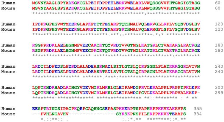 https://cdn.ncbi.nlm.nih.gov/pmc/blobs/4c74/9954390/eda807343087/cells-12-00663-g002.jpg